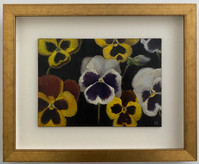 pansy