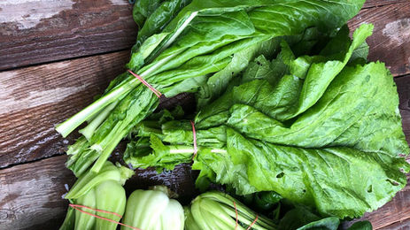 Légumes feuillus asiatiques fraîchement récoltés — bok choy, moutarde et autres verdures — sur une table en bois rustique à la ferme Le Rizen.