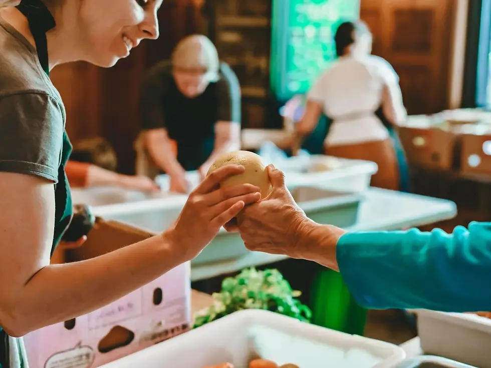 Distribution de légumes dans un espace communautaire, illustrant la solidarité alimentaire et la mutualisation des ressources agroalimentaires au Québec.