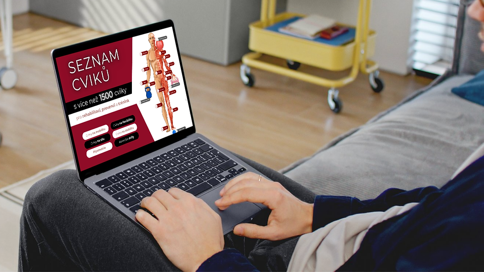 Seznam cviků Physiostepbystpe