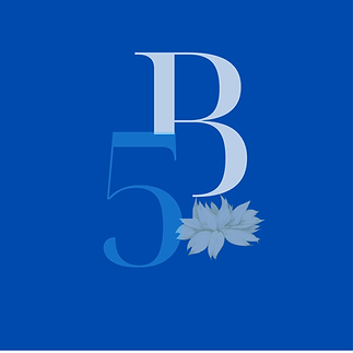 Updated 5B logo.png