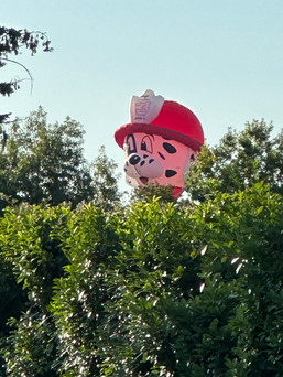 Hot air balloon lands on the next door property.