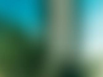 Sérgio Werlang na Veja: Política Monetária e a Indicação de Gabriel Galípolo ao Banco Central