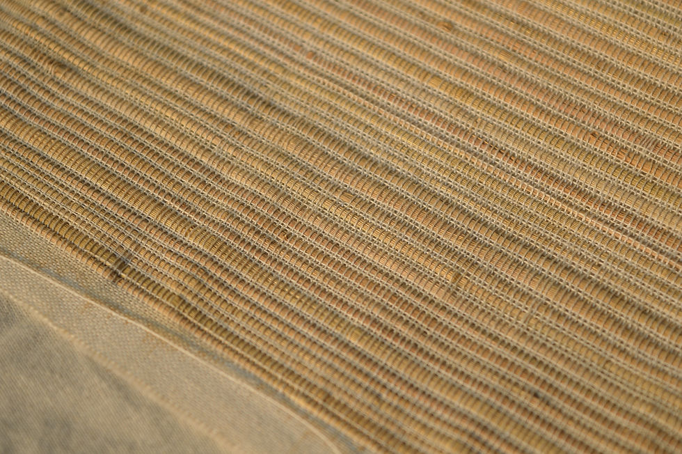 _DSC0862.JPG