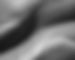 363d453a05ab2fef3ce8b6818fd76de0 2_edited.jpg