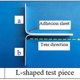 Everwide newsletter No.398
