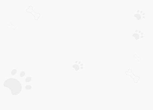 groomax-ourwork.jpg