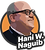 Hani Naguib.png