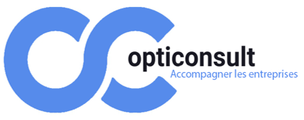 (c) Paie-opticonsult.net