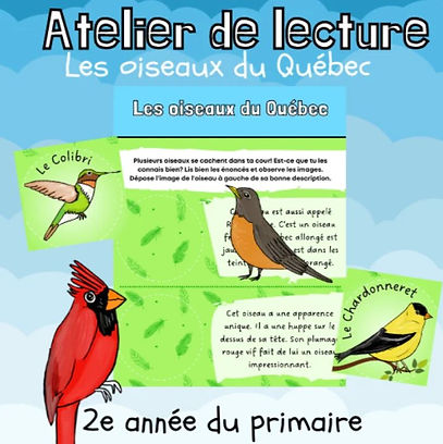 Atelier de lecture - Les oiseaux du Québec (2e)