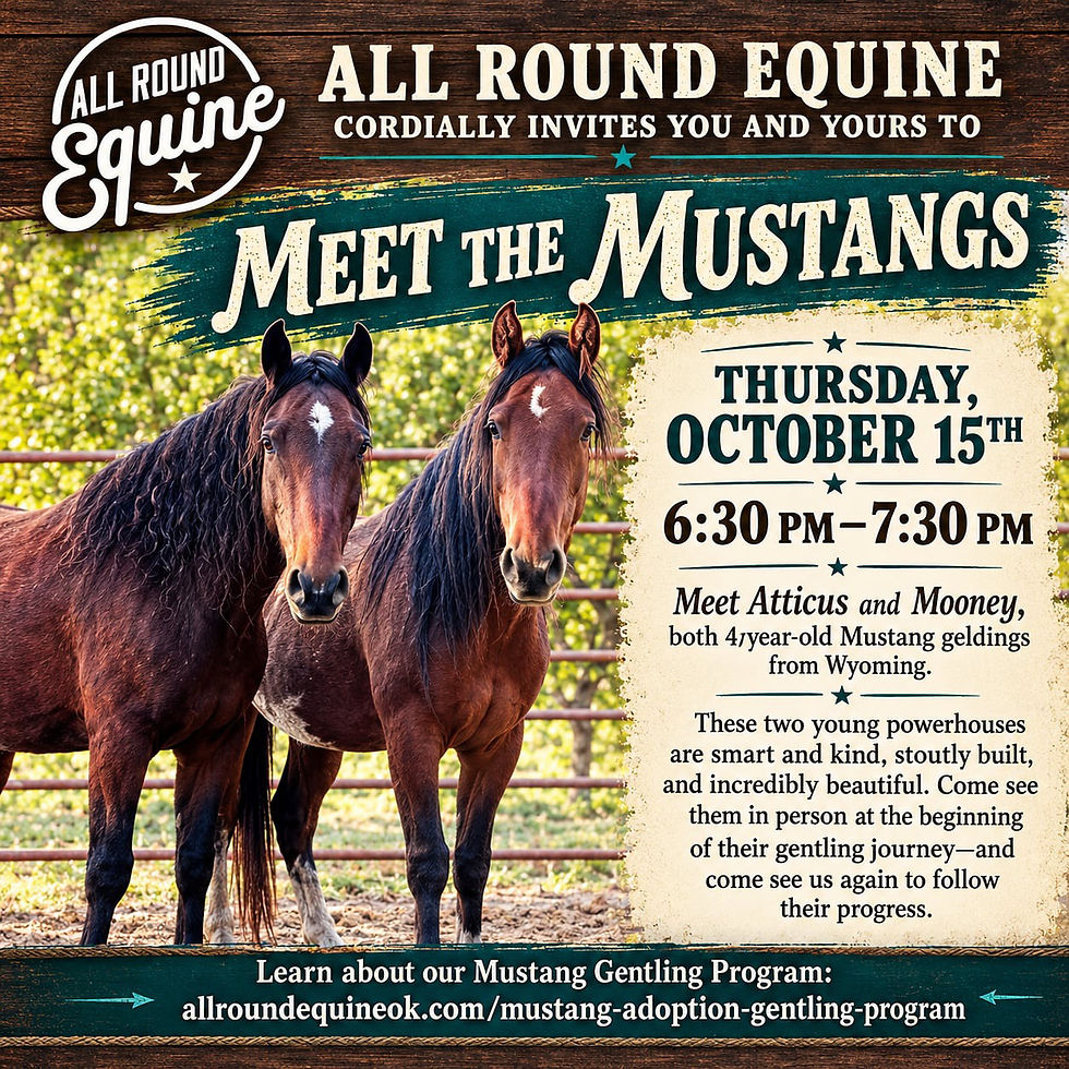 Meet the Mustangs