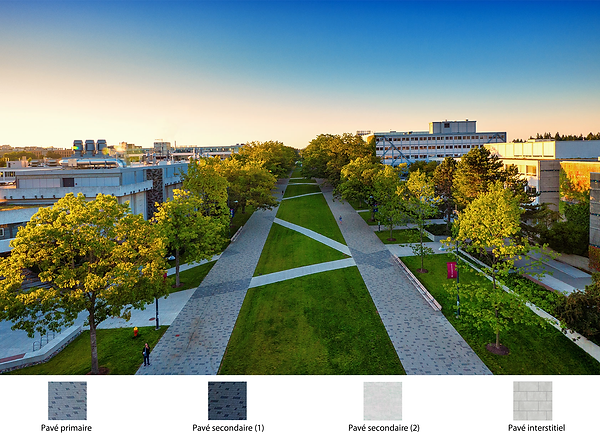 UBC-Main-Mall_TEXTURES.png