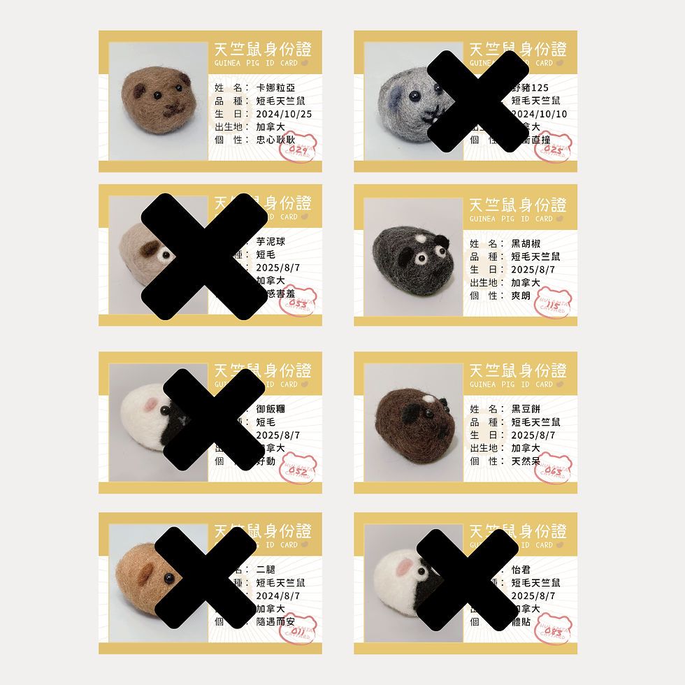 縮圖：天竺鼠羊毛氈 ✨天天好萌x唬爛咪呀聯名