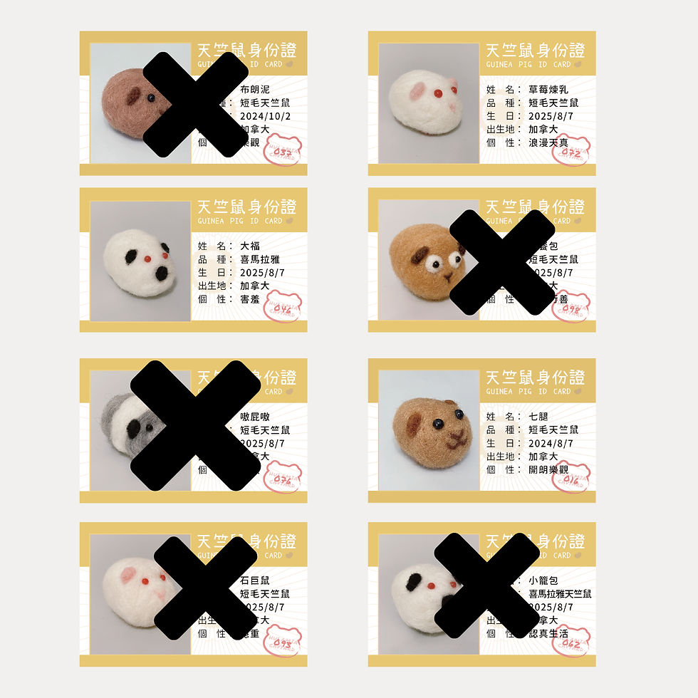 縮圖：天竺鼠羊毛氈 ✨天天好萌x唬爛咪呀聯名