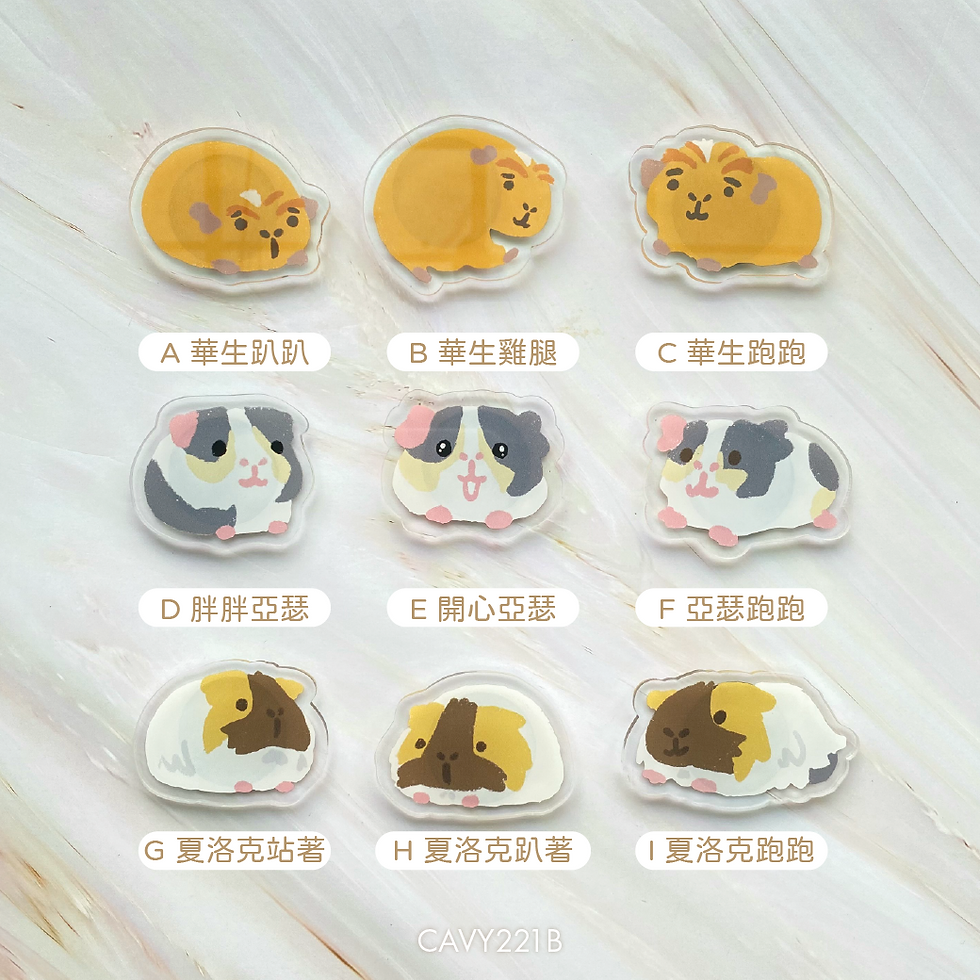 縮圖：壓克力磁鐵