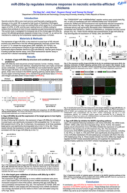 2022 KSOPS poster_Hao