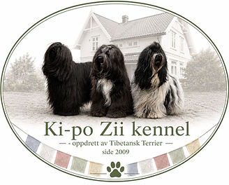 kipozii_edited_edited.jpg