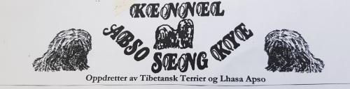 Abso.jpg