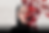 Website Art.png