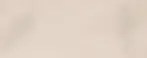 Reviews-bg.webp