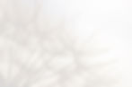 Features-BG.jpg