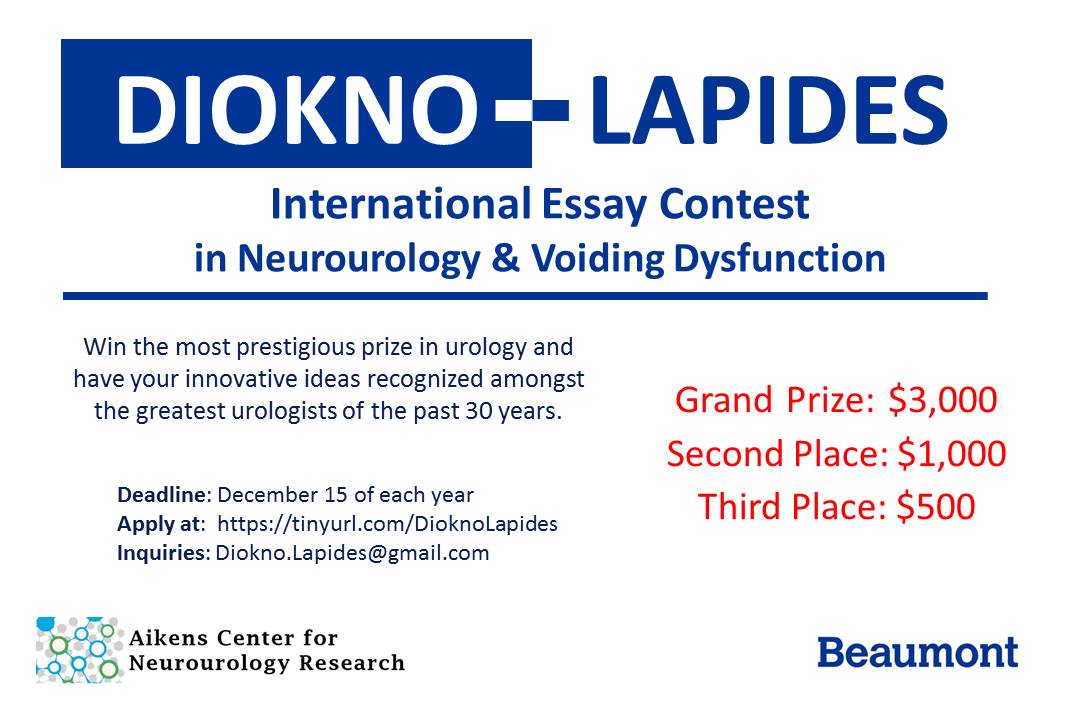 Lapides essay contest 02 image
