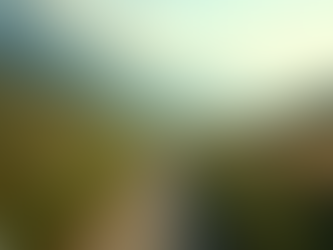 Embrace Healing: Transform Your Old Stories Today