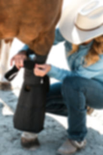 Hock Boot-cannon bone-horse icingDSCF682