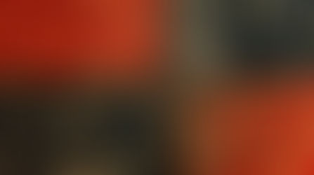 Art biennial Dendermonde June-July