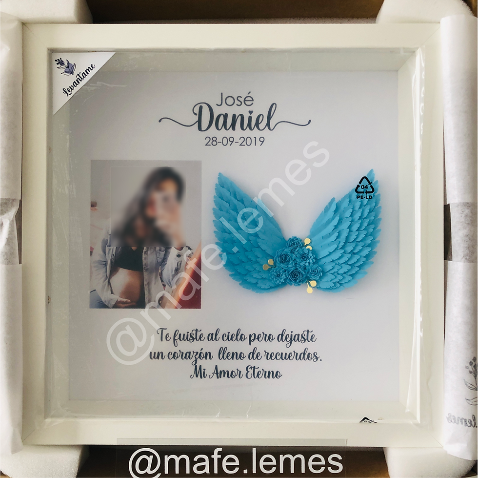 Miniatura: Cuadro Alas pequeñas+ foto + frase +luz (No apto para uso en exteriores)*