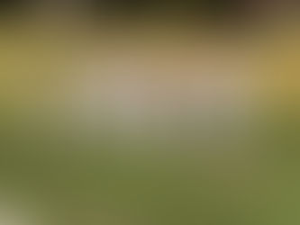 5 Wickets for Toots!