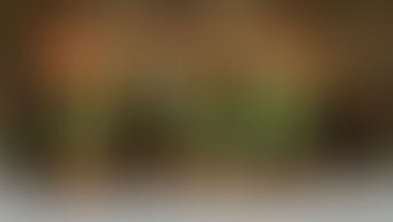 FLOT DM-SØLV TIL U17-PIGERNE EFTER STÆRK PRÆSTATION💚