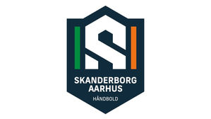Herrerne fra Skanderborg Håndbold og Århus Håndbold fusionerer