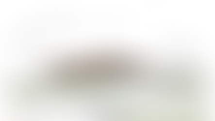 VIGTIG MILEPÆL I UDVIKLINGEN AF FÆLLEDEN SOM IDRÆTSCENTER