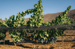 CharlesMartinez-026 (1)