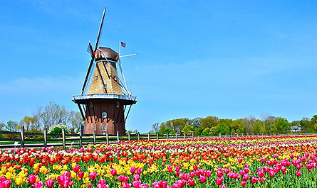 Windmill Island.jpg