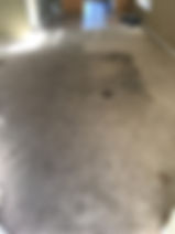carpet cleaning before