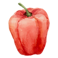 Red Pepper
