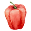 community kitchen chef