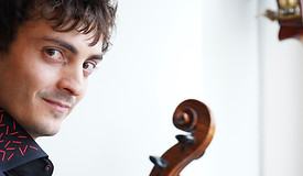 Nicky cello bass