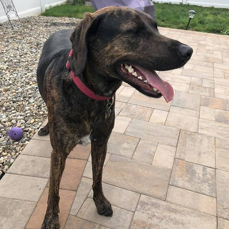 107954975_10217143744520872_492522621977