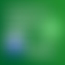 Start einer WhatsApp Community