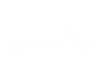 Dragonfly Africa Logo