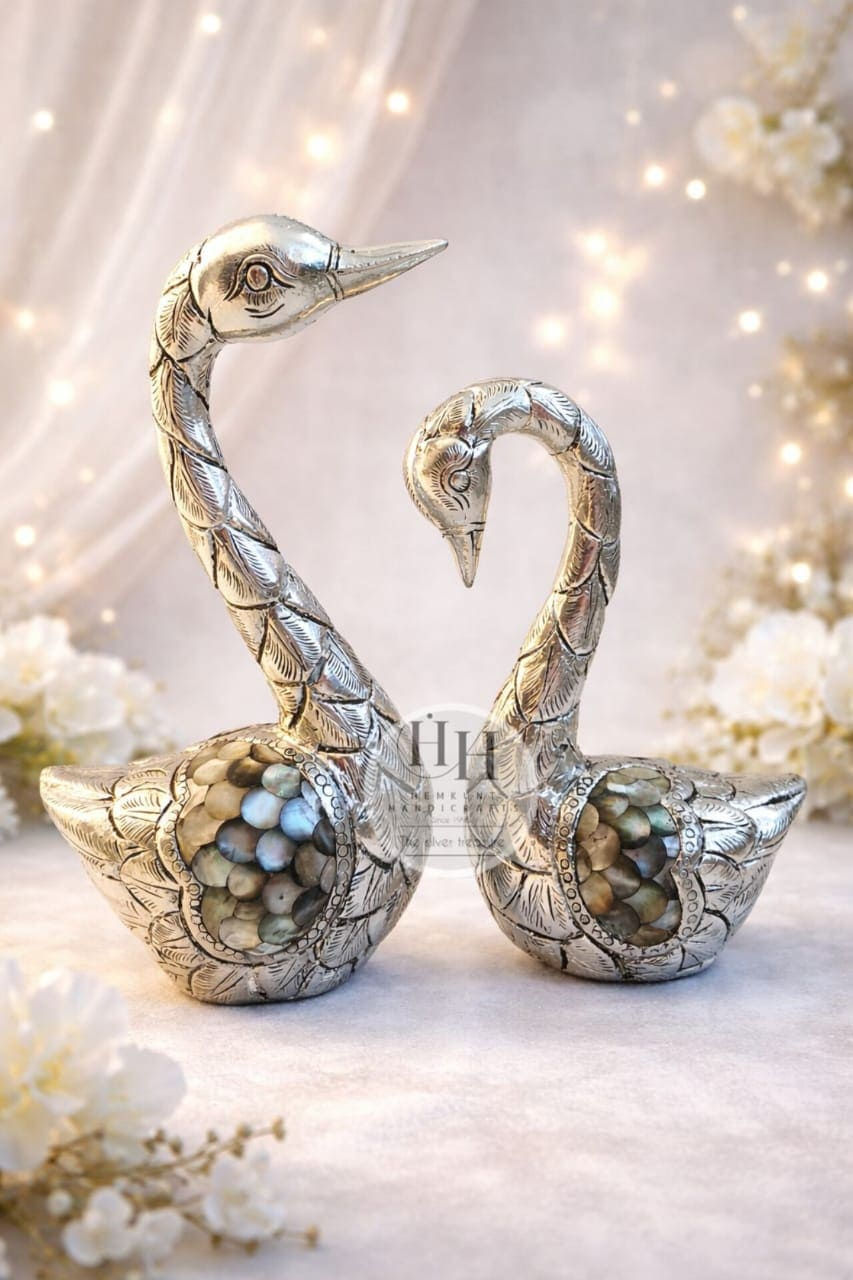 Duck pair