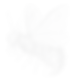 MOnster 2.png