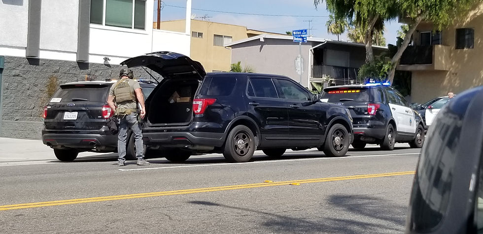 LB Crime.jpg