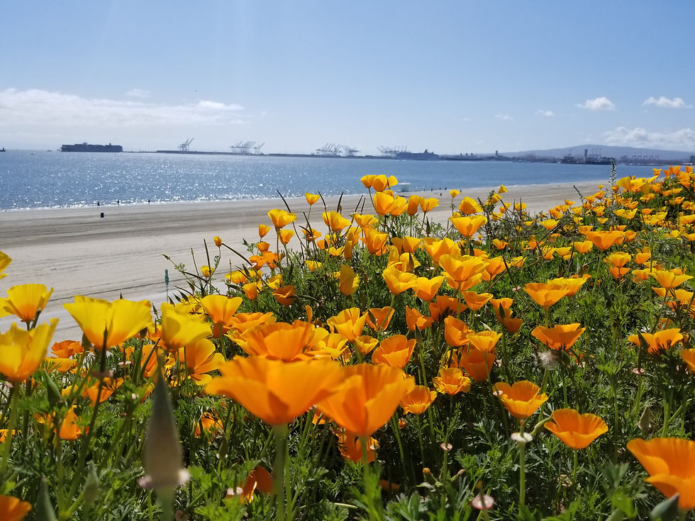 20180324_145911.jpg
