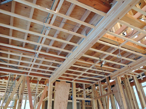 菅生町の住宅:天井野縁組