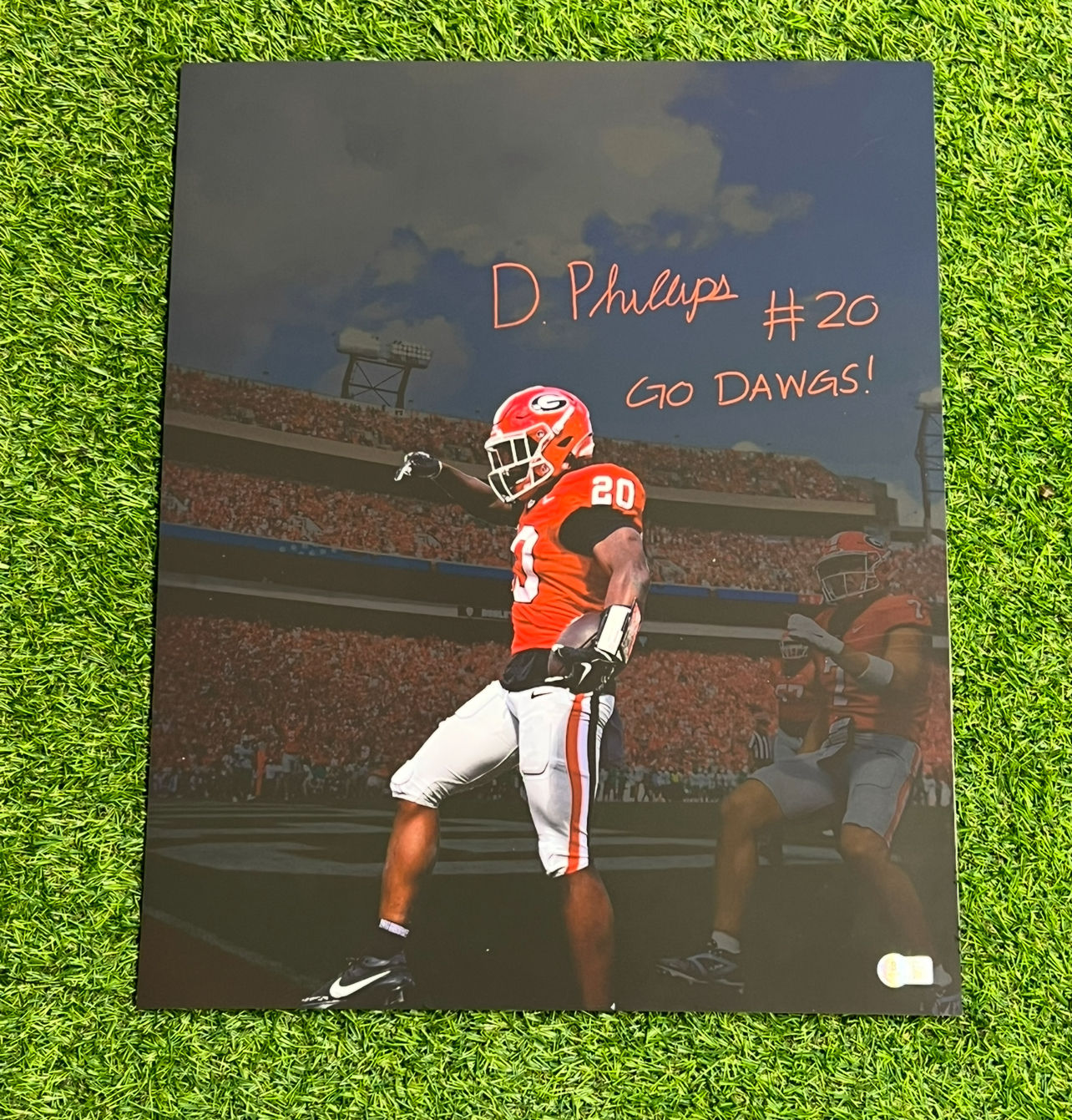 Dwight Phillips Jr Signed 16x20 Picture