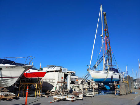 Marinship Currentz Newsletter: December 2020